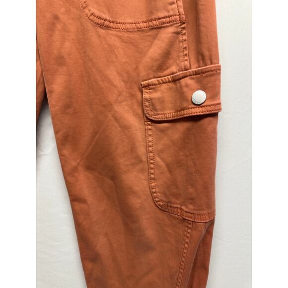 Liverpool Los Angeles Orange Barrel Cargo Pants Size 0/25 Terracotta Stretch - Picture 3 of 10